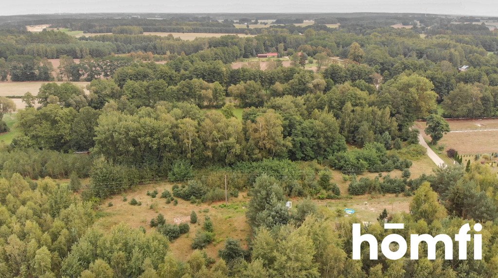 Działka budowlana na sprzedaż Brudnów  4 100m2 Foto 10