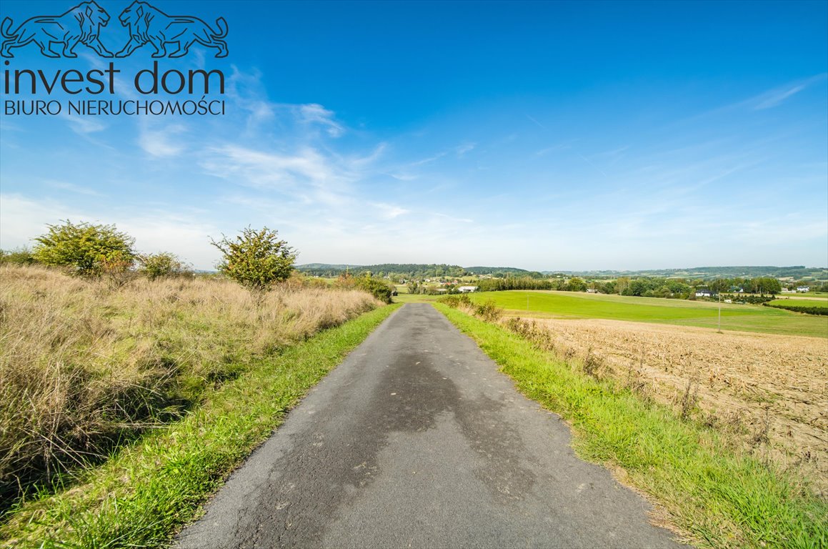 Działka rolna na sprzedaż Mszanka  9 500m2 Foto 10