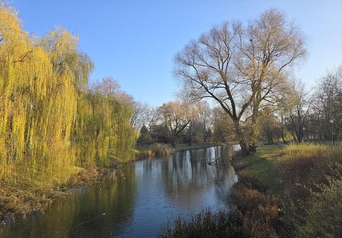 Mieszkanie trzypokojowe na sprzedaż Warszawa, Bielany, Gwiaździsta 31  55m2 Foto 15