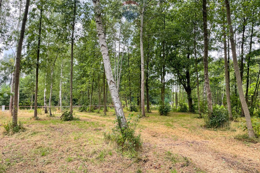 Działka budowlana na sprzedaż Budy Michałowskie, Karliczka  1 194m2 Foto 1