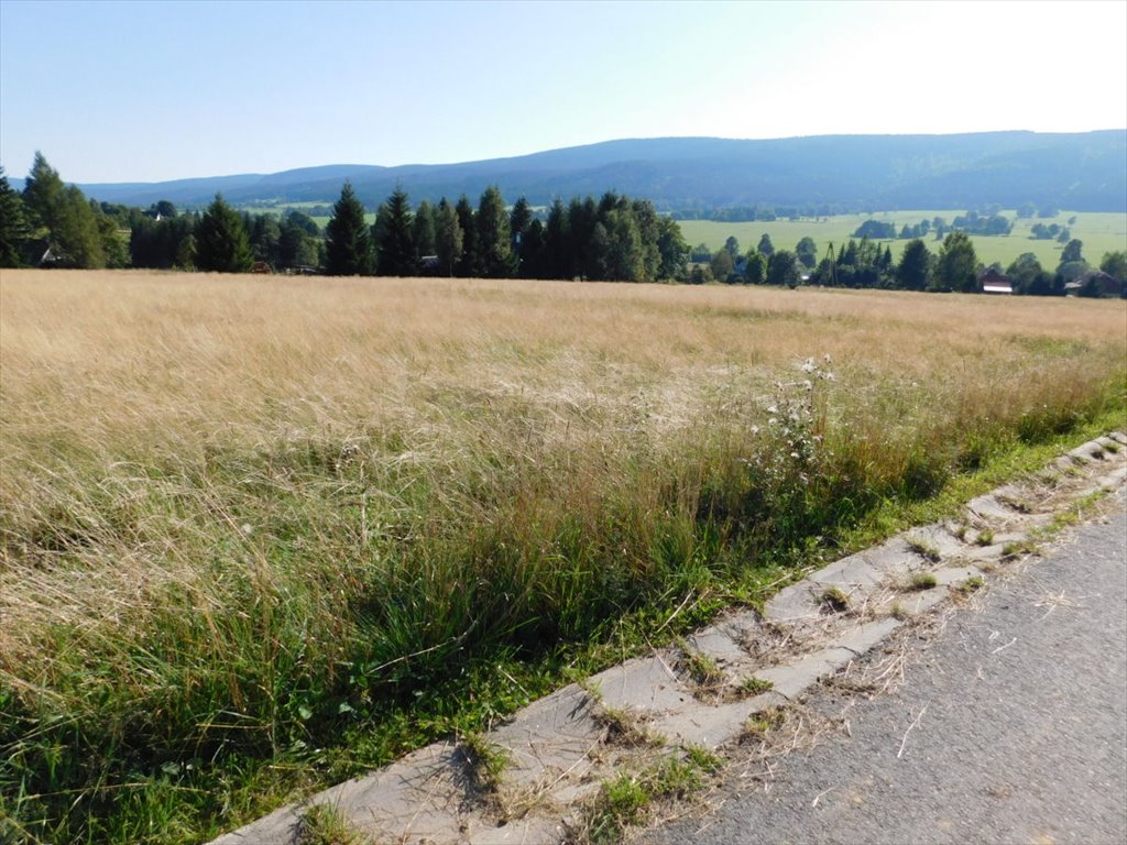 Działka budowlana na sprzedaż Duszniki-Zdrój, Zieleniec  2 326m2 Foto 2