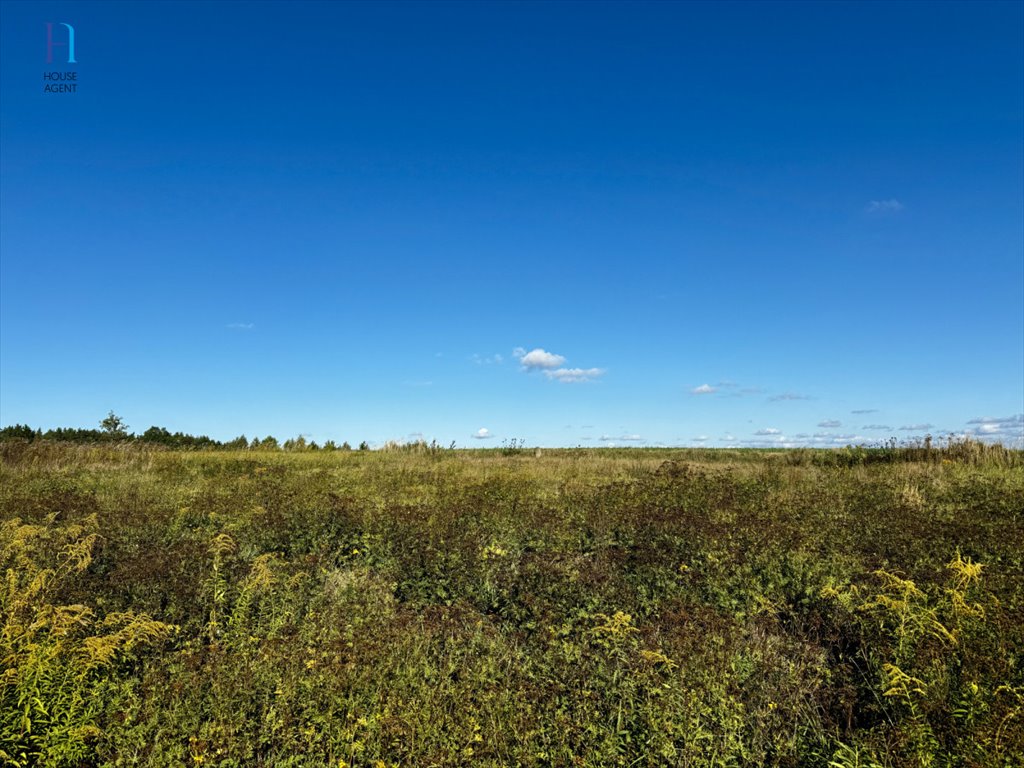 Działka rolna na sprzedaż Janów  2 997m2 Foto 2