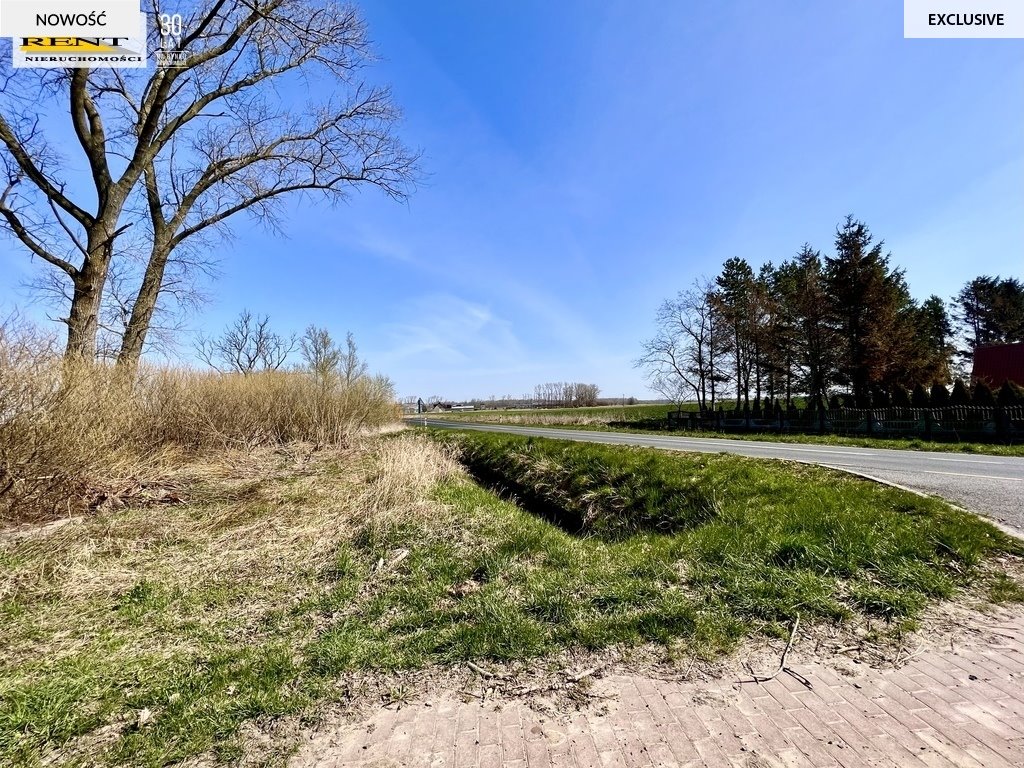 Działka 3687 m² z uzbrojeniem w Trzebuszu - polecam! Trzebiatów  3 687m2 Foto 1