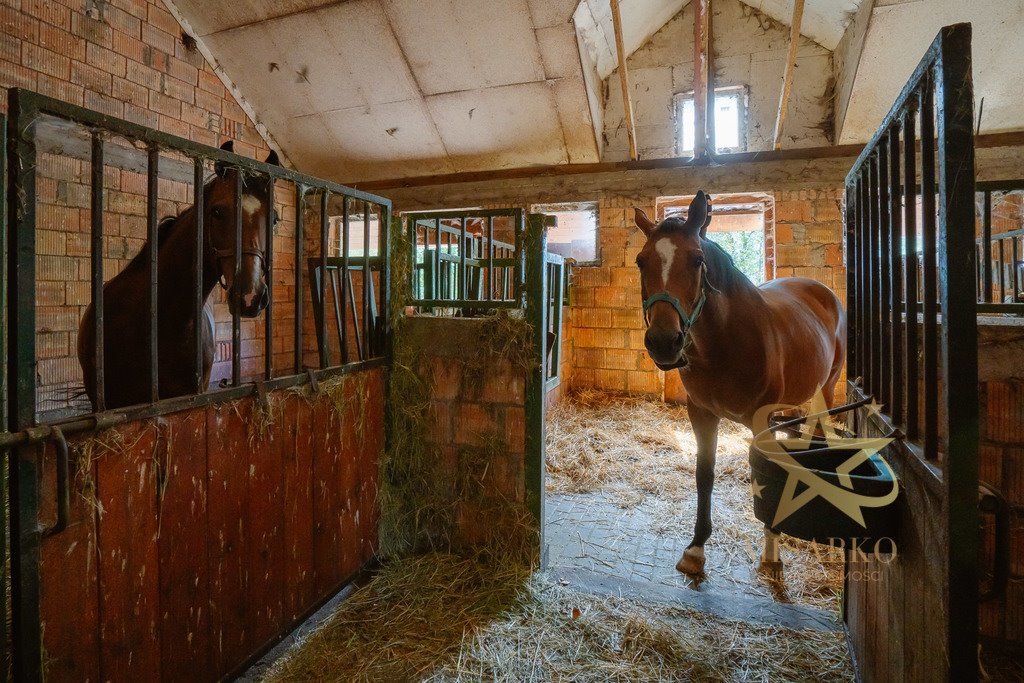 Dom na sprzedaż Górany  600m2 Foto 9