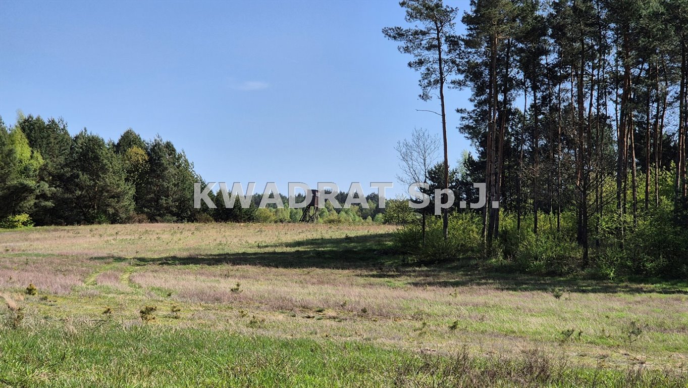 Działka budowlana na sprzedaż Kobyla Góra  16 854m2 Foto 8