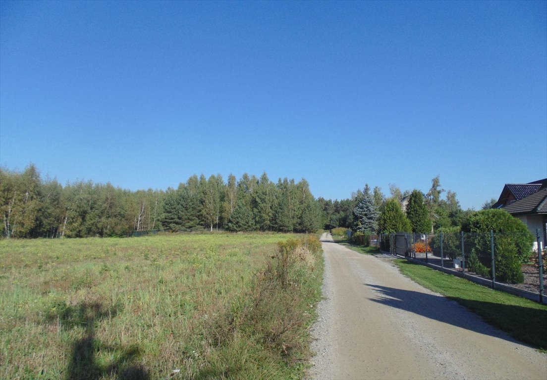 Działka budowlana na sprzedaż Krzywiec, Myśliwska  1 978m2 Foto 6