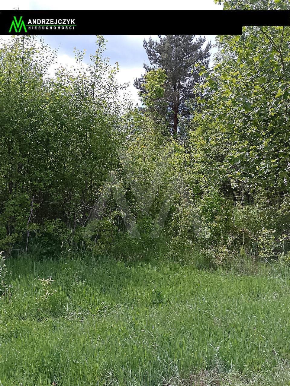 Działka 3444 m² z widokiem na pola i las (warunki zabudowy) Graniczna Wieś, POLNA DROGA  3 444m2 Foto 1