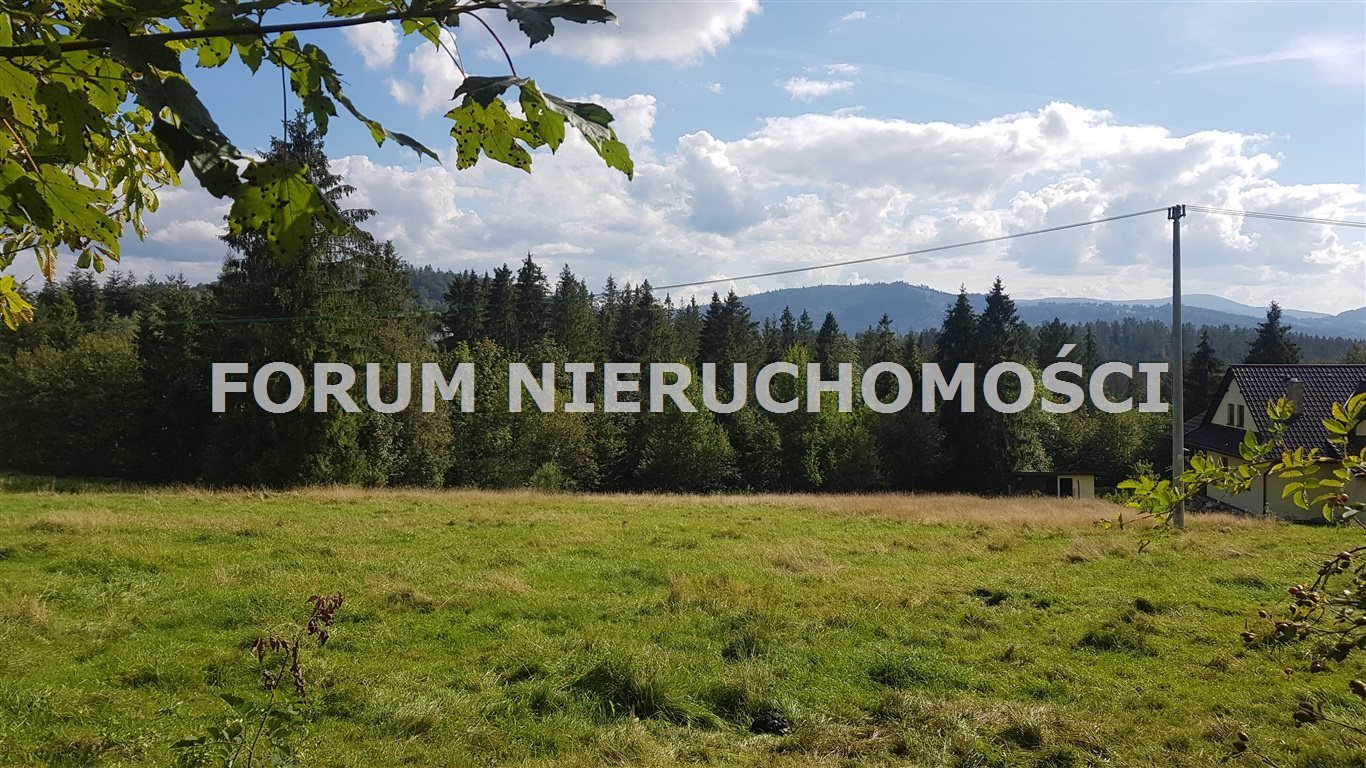 Malownicza działka 56 arów z widokiem na góry - polecam! Laliki  5 620m2 Foto 1