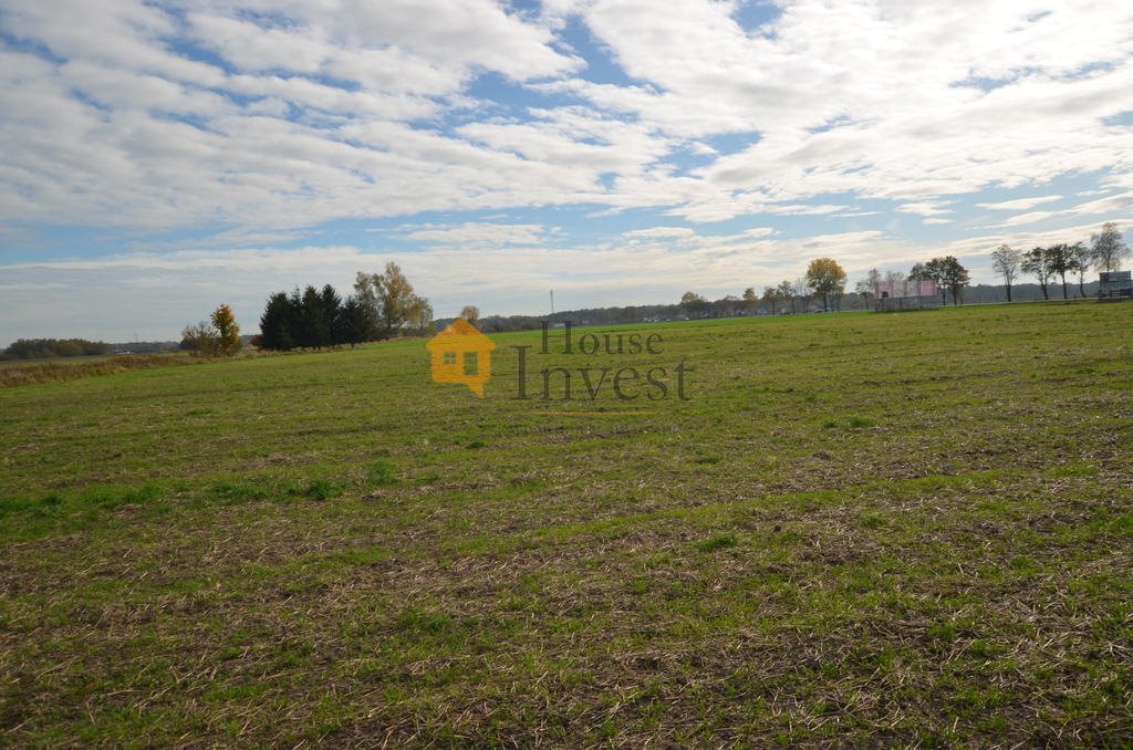 Działka przemysłowa 60 000 m² z MPZP w Niemstowie Niemstów  60 000m2 Foto 1