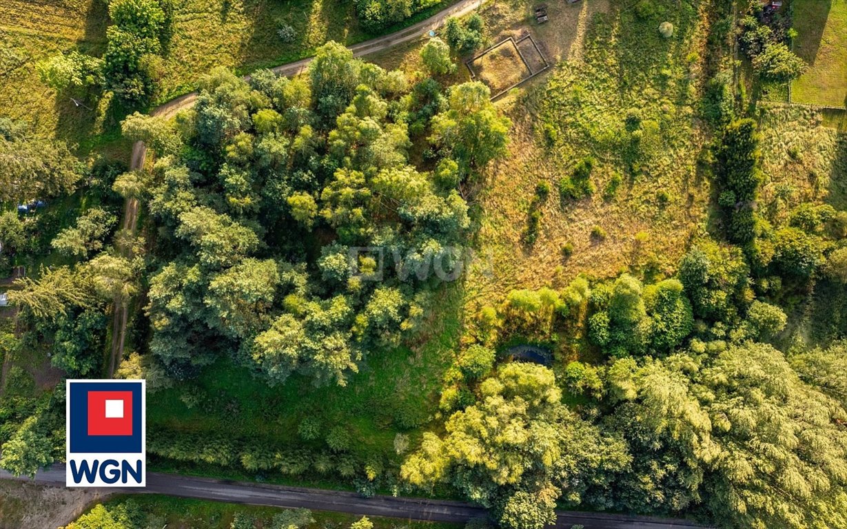 Działka budowlana na sprzedaż Żochowo, Żochowo  10 681m2 Foto 4