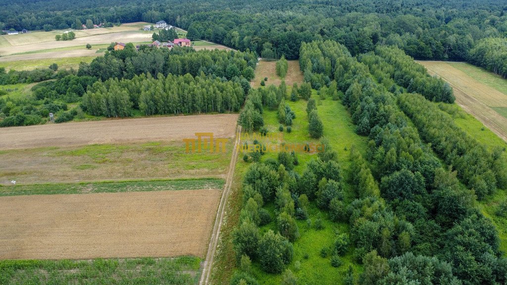 Działka budowlana na sprzedaż Kłoda, Brzozowa  1 783m2 Foto 11