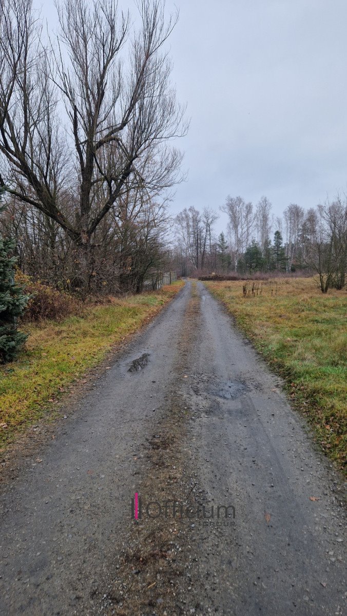 Działka siedliskowa na sprzedaż Karczunek  3 450m2 Foto 8