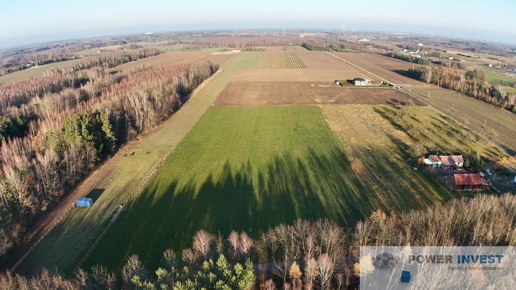 Działka budowlana na sprzedaż Powązki  19 500m2 Foto 4