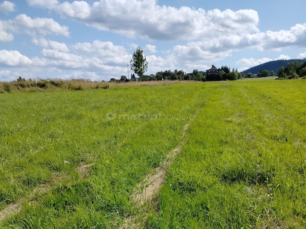 Działka budowlana na sprzedaż Buczkowice  5 300m2 Foto 2