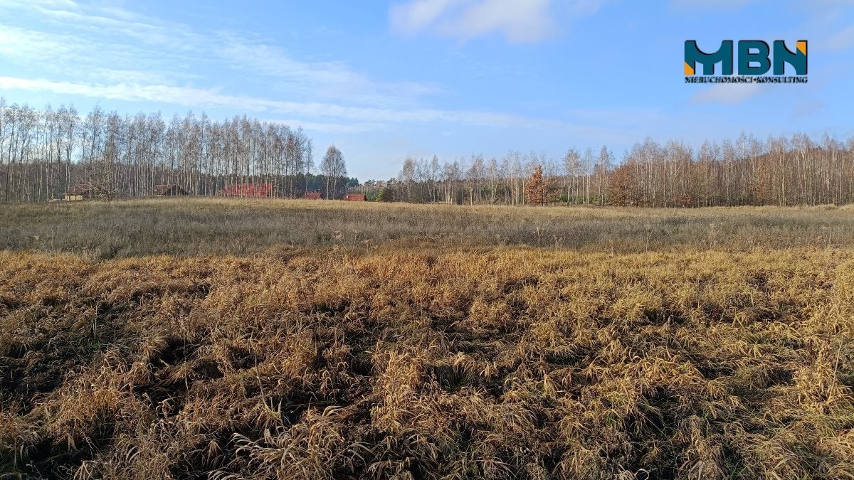 Działka budowlana na sprzedaż Miłki, Rydzewo  3 022m2 Foto 13