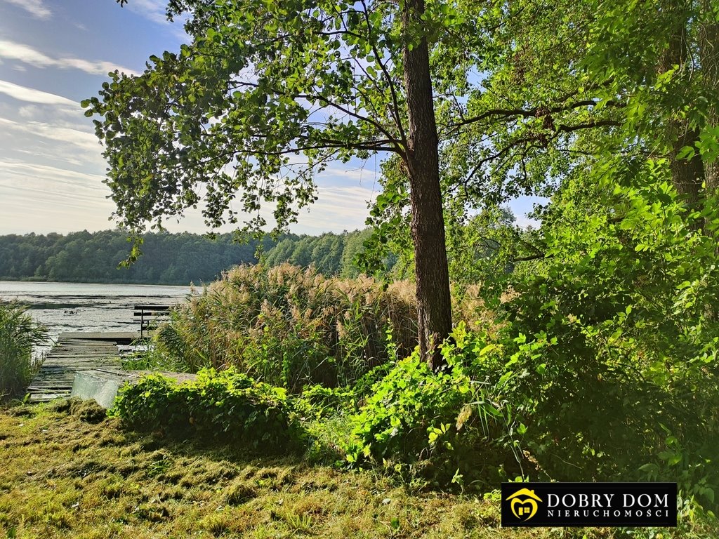 Działka rolna na sprzedaż Jeziorki  3 984m2 Foto 1