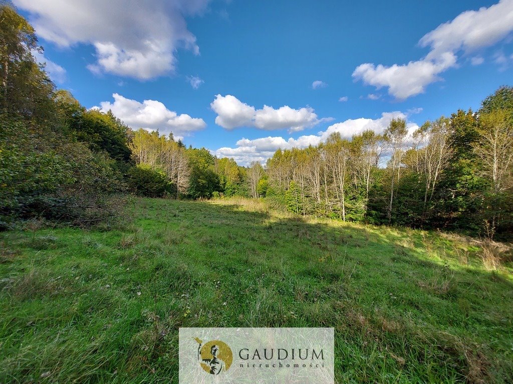 Wyjątkowa działka 5,6 ha w Kobysewie z lasem i strumieniem Kobysewo, Klasztorna  55 900m2 Foto 1