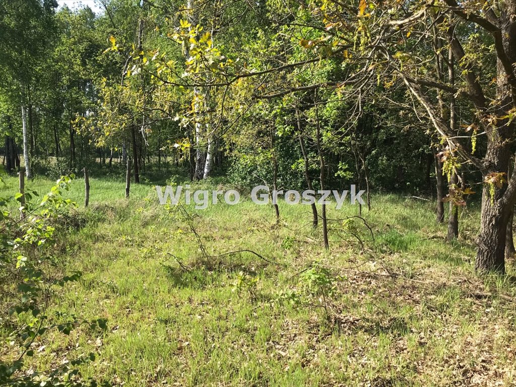 Działka leśna 3000 m² z prądem, las i spokój Leoncin, Secymin Polski  3 000m2 Foto 1