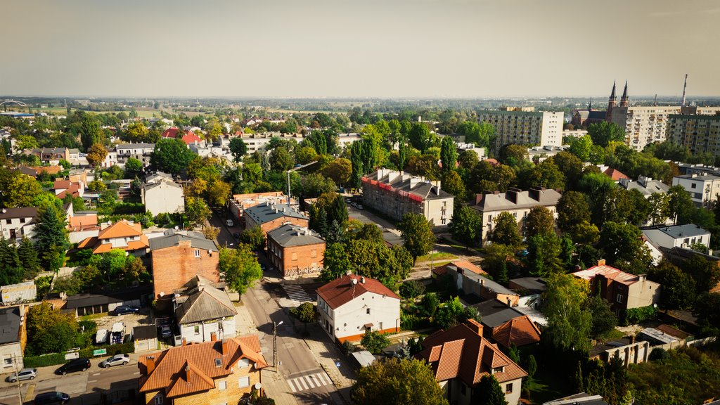 Działka budowlana na sprzedaż Pabianice, Marii Konopnickiej  351m2 Foto 10