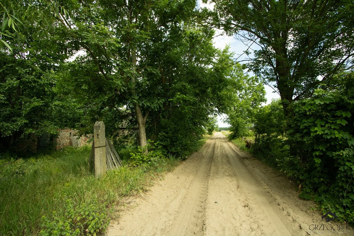 Działka rolna na sprzedaż Downary  1 600m2 Foto 7