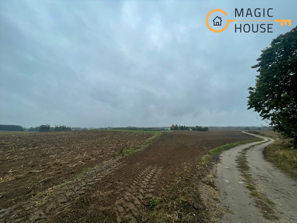 Duża działka 65 240 m² z możliwością zabudowy w Miradowie Miradowo  65 248m2 Foto 1