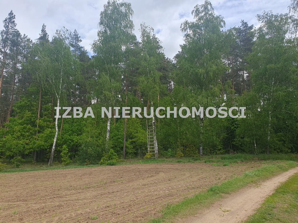 Działki rolne z widokiem na jezioro w Grabniku Grabnik  3 320m2 Foto 1