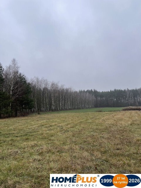 Zdjęcie 4