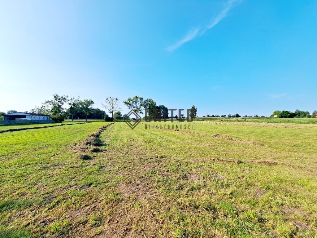 Działka przemysłowa przy DW 368 11 265 m² - polecam! Borowa, Klonowa  11 265m2 Foto 1