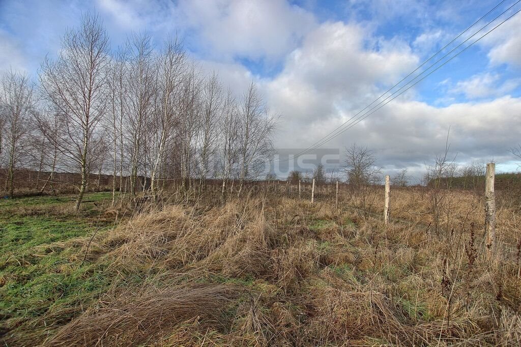 Działka rolna na sprzedaż Wąwelnica  1 191m2 Foto 9