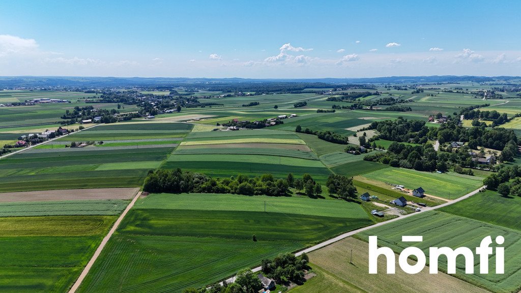 Działka budowlana na sprzedaż Poręba Dzierżna  10 037m2 Foto 5