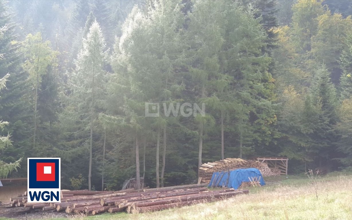 Działka rekreacyjna na sprzedaż Wisła, Jawornik  19 000m2 Foto 4