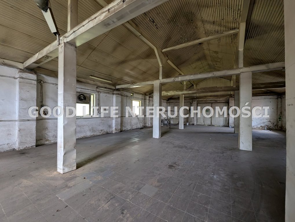 Lokal użytkowy na sprzedaż Dylągówka  1 600m2 Foto 4