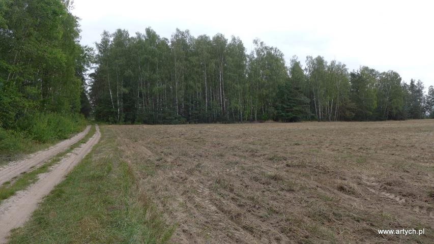 Działka rolna 15 700 m² z lasem i gruntami w Telakach Telaki  15 700m2 Foto 1