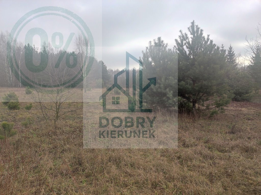 Działka inna na sprzedaż Wola Kanigowska  20 000m2 Foto 1