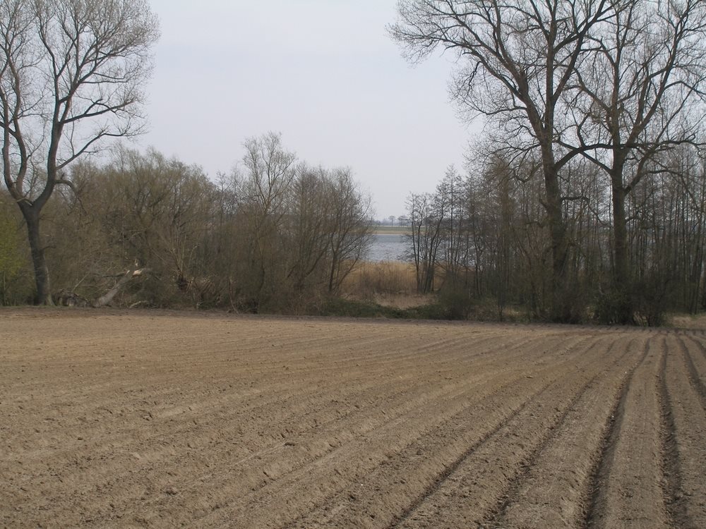 Do sprzedania działka 1 ha nad morzem w Korzęcinie Korzęcin  10 000m2 Foto 1