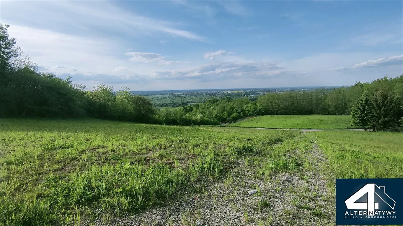 Działka rekreacyjna na sprzedaż Szczepanowice  7 900m2 Foto 2