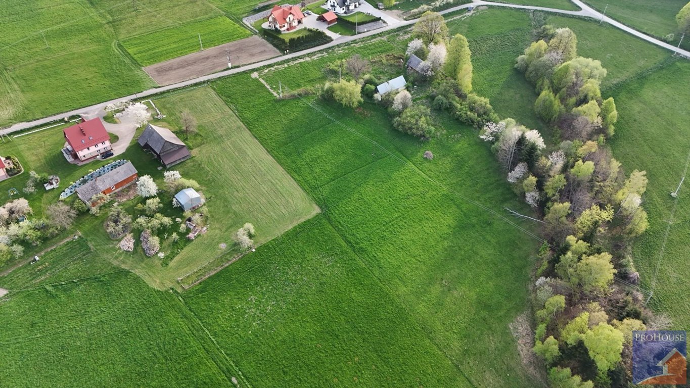 Działka budowlana na sprzedaż Stara Wieś  14 000m2 Foto 10