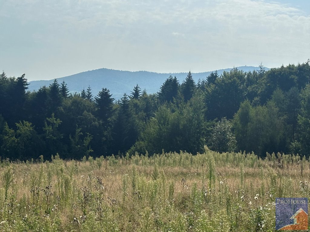 Działka budowlana na sprzedaż Stare Rybie  900m2 Foto 4