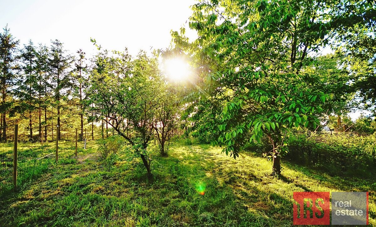 Dom na sprzedaż Rusowo  100m2 Foto 5