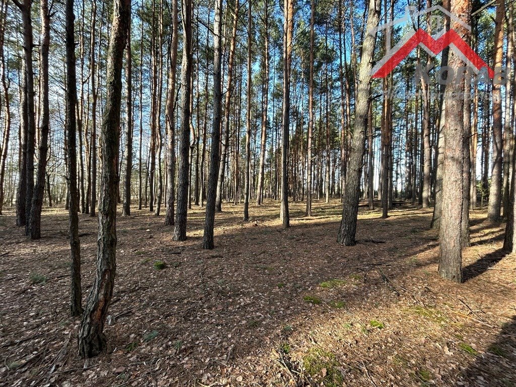Leśna działka 2700 m² z szybkim dojazdem do Warszawy zapraszam Stary Żabieniec  2 700m2 Foto 1