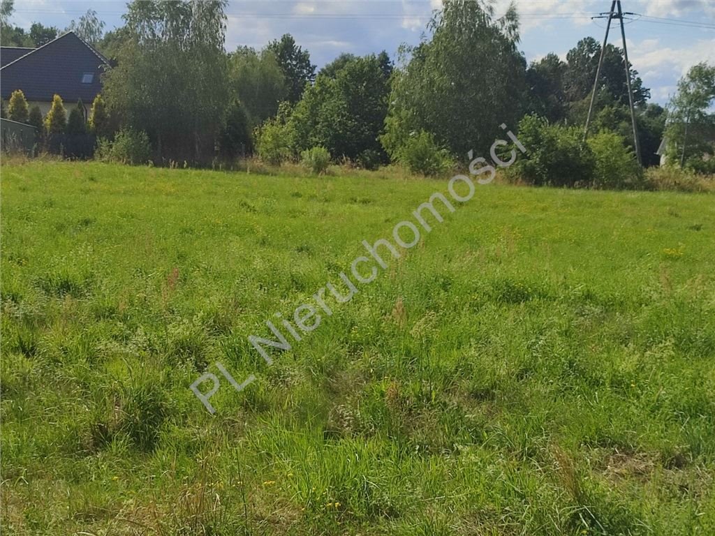 Działka budowlana na sprzedaż Młochów  2 680m2 Foto 2