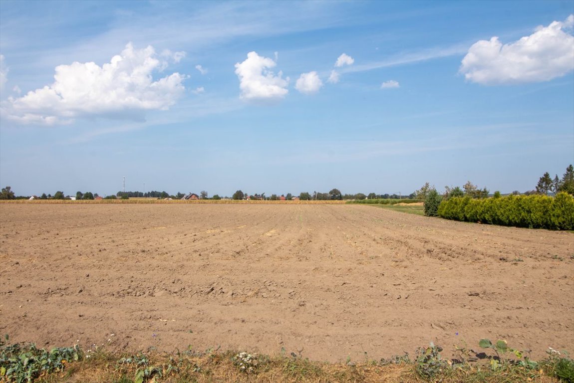 Działka przemysłowo-handlowa na sprzedaż Ciasna, Nowy Dwór  5 093m2 Foto 7