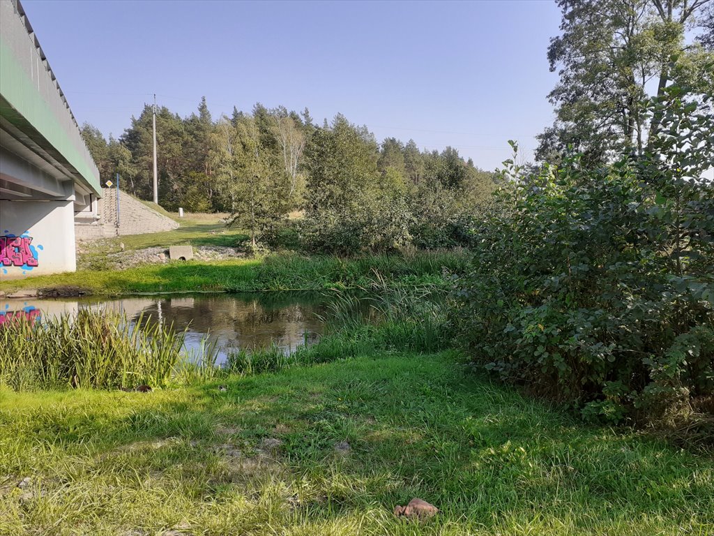 Działka budowlana na sprzedaż Drężewo  1 400m2 Foto 3