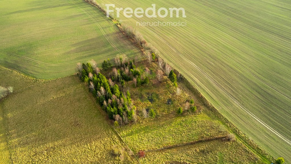 Działka budowlana na sprzedaż Klonowo Górne, Świerkowa  3 987m2 Foto 12