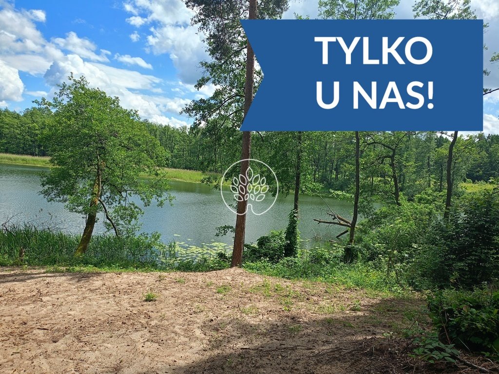 Sprzedam działkę 7 000 m² z własną linią brzegową Wiele  7 000m2 Foto 1