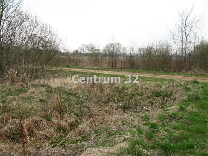 Działka 3 200 m² w Halinowie – szybki rozwój i natura Halinów, Długa Szlachecka  3 200m2 Foto 1