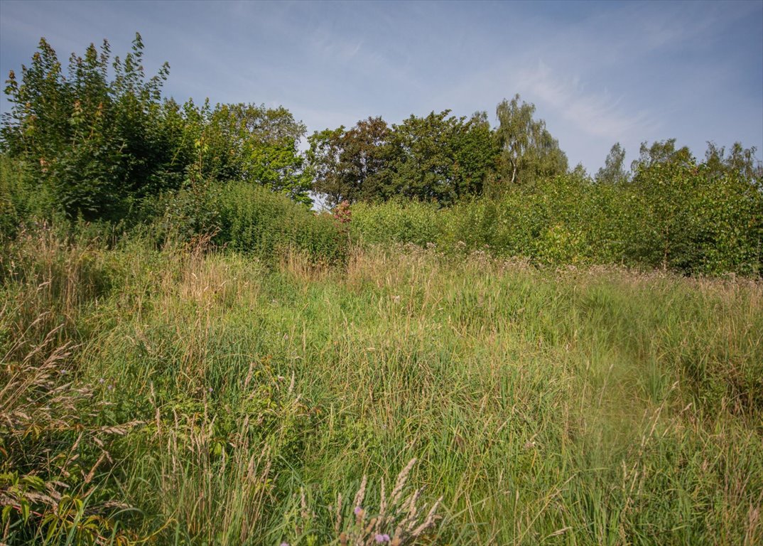 Działka budowlana na sprzedaż Kąpino  1 591m2 Foto 8