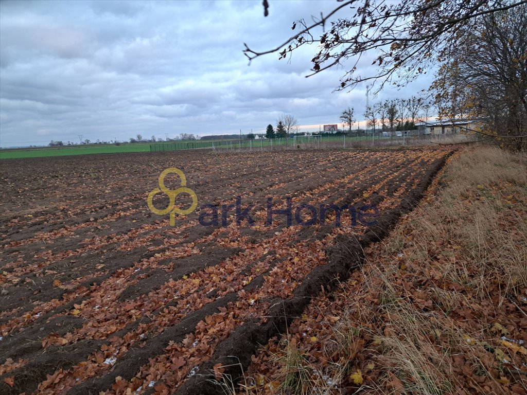 Działka budowlana na sprzedaż Brody  1 000m2 Foto 5