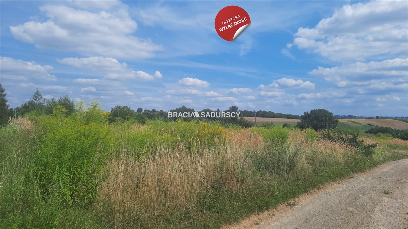 Działka budowlana na sprzedaż Kocmyrzów-Luborzyca, Maciejowice  4 460m2 Foto 19