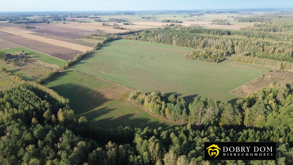 Działka rolna na sprzedaż Folwarki Wielkie  29 100m2 Foto 3